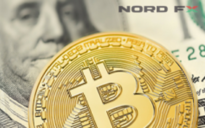 nordfx bitcoin trading | nordfx cryptocurrency trading | nordfx ethereum trading | nordfx litecoin trading | trading of cryptocurrencies