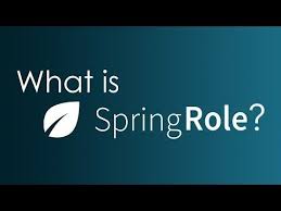 what is springrole | springrole blockchain | springrole linkeding | how is springrole different from linkedin