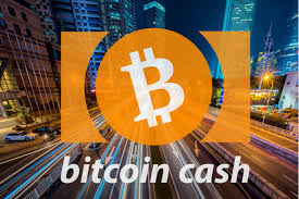 Bitcoin News | Bitcoin Cash News | Bitcoin Cash Adoption | Bitcoin Cash Popularity | BCH | BCH News
