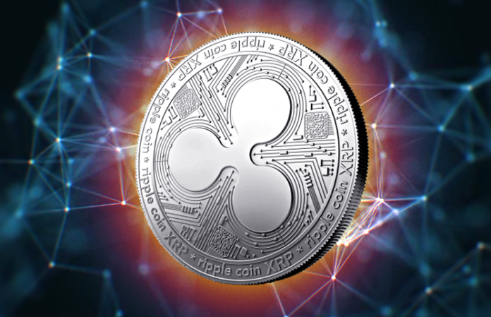 XRP | Ripple XRP | TechCrunch | Hedge Fund | Cryptocurrency