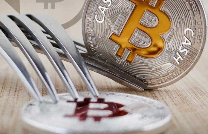 Bitcoin Cash | Hard Fork | Bitcoin Cash ABC | Bitcoin Cash SV