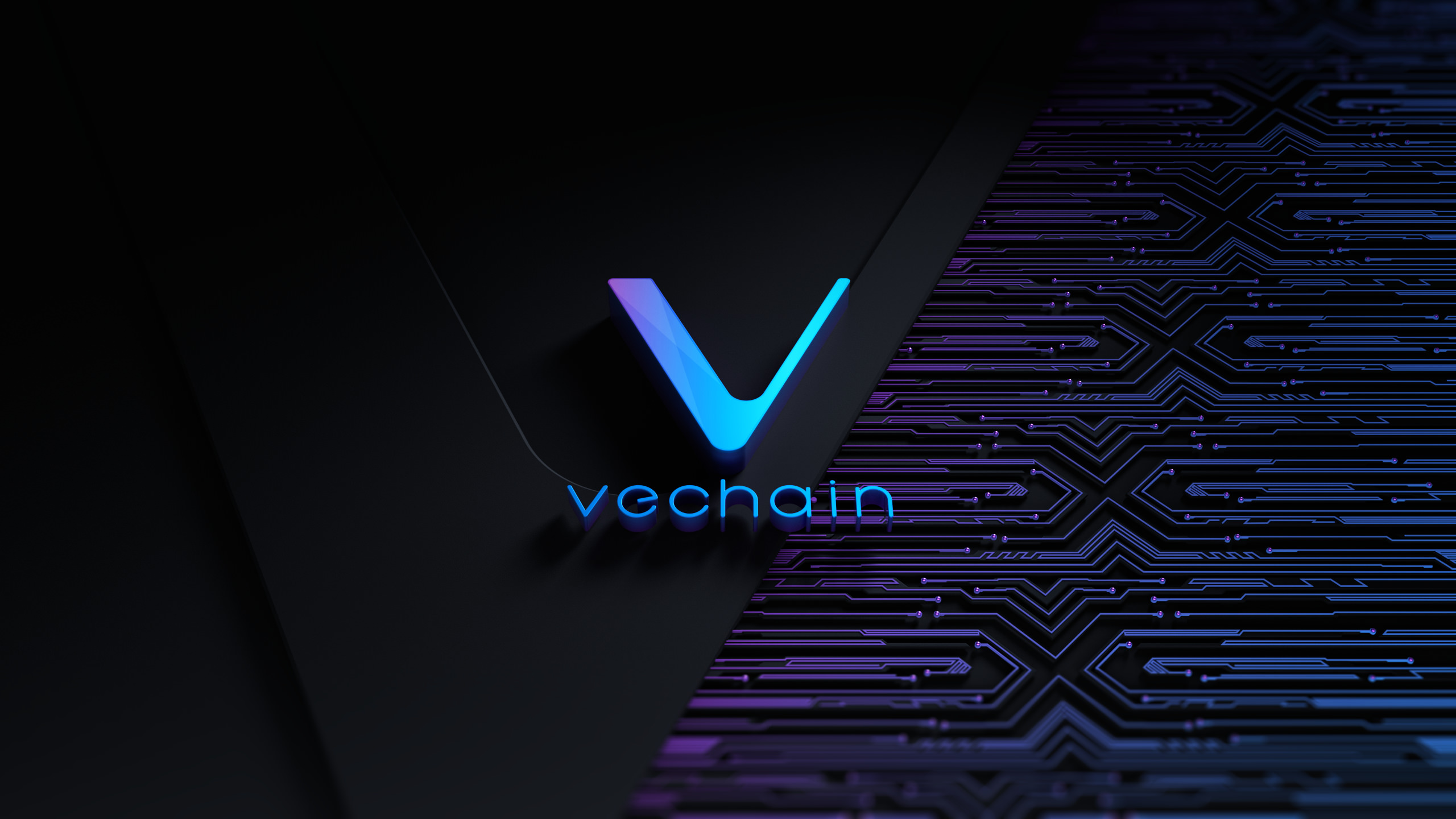 H&M | Products | Blockchain | VeChain | Tracking | Vet