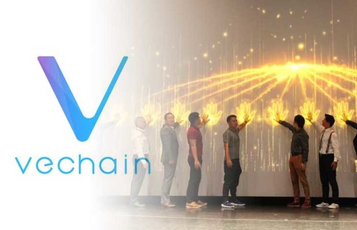 VeChain| Blockchain Solution | China International Import Expo
