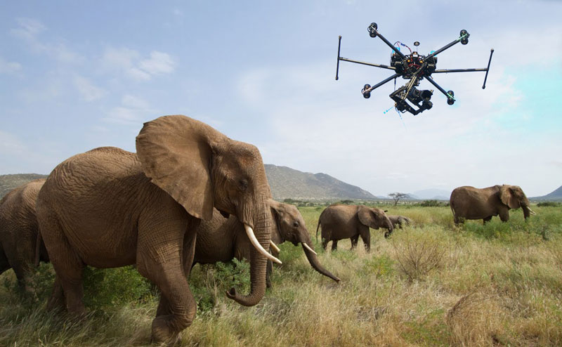Poacher Tracking Drone | Newton Blockchain | Blockchain Project | Endangered Species