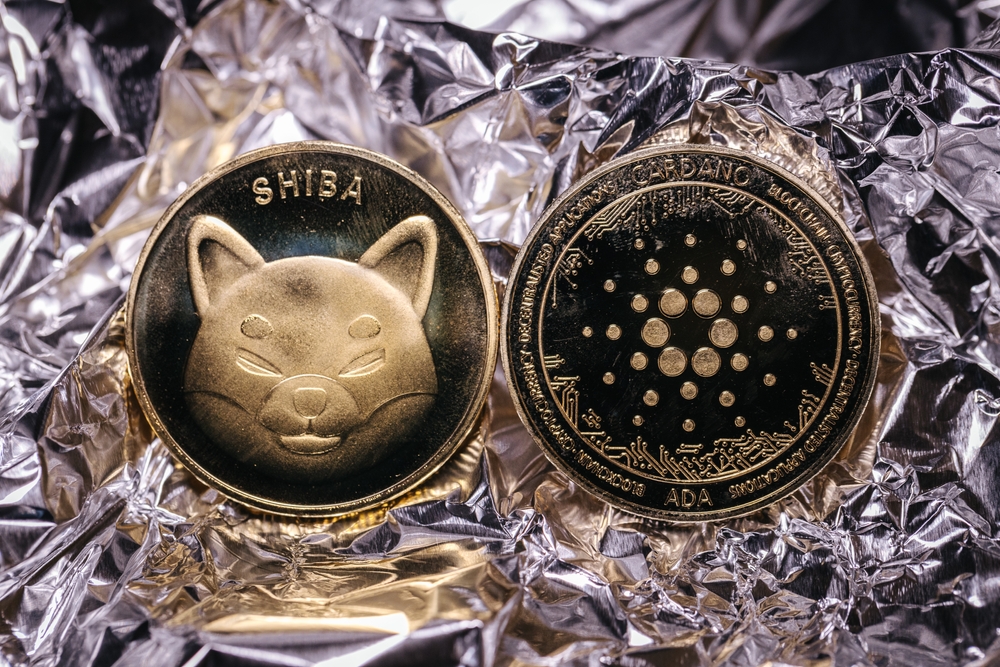 Shiba Inu's