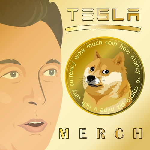Dogecoin Supporter Elon Musk